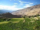 india09 325